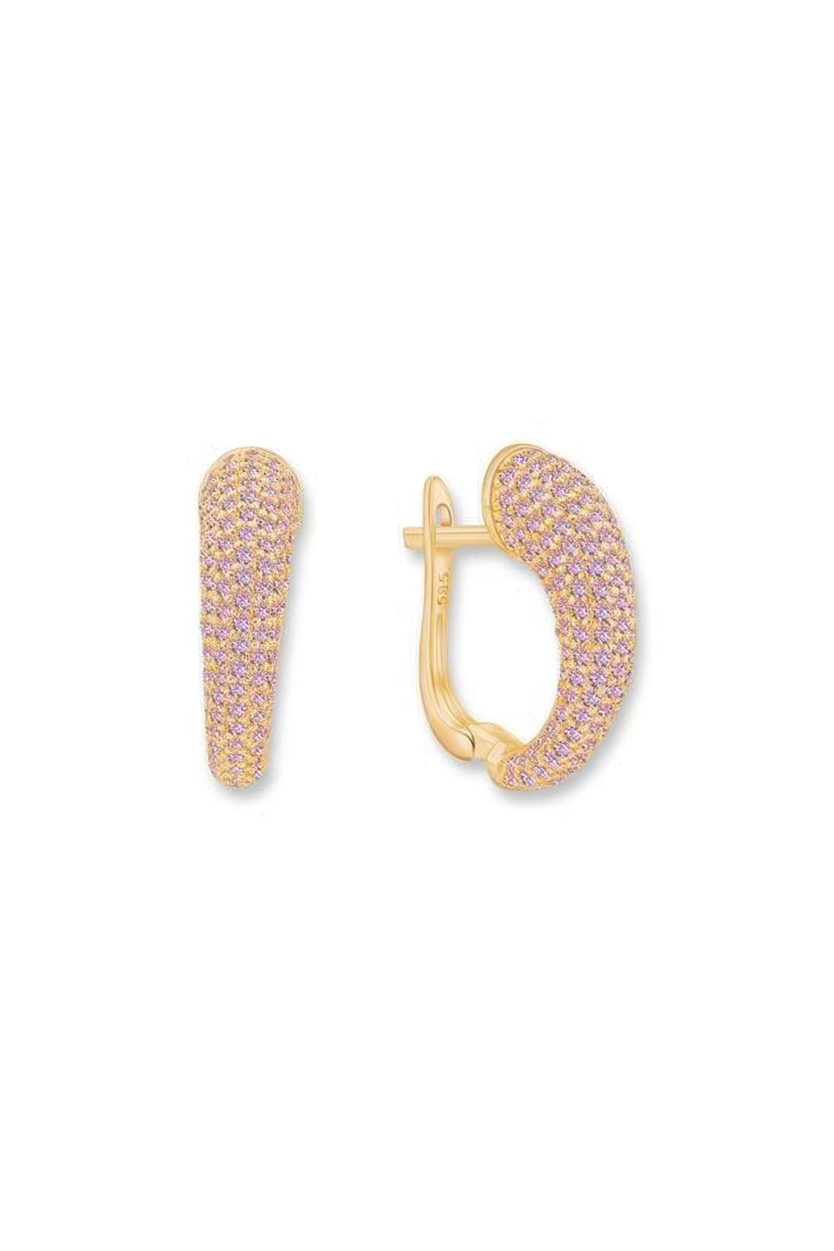 Taşlı Altın Küpe