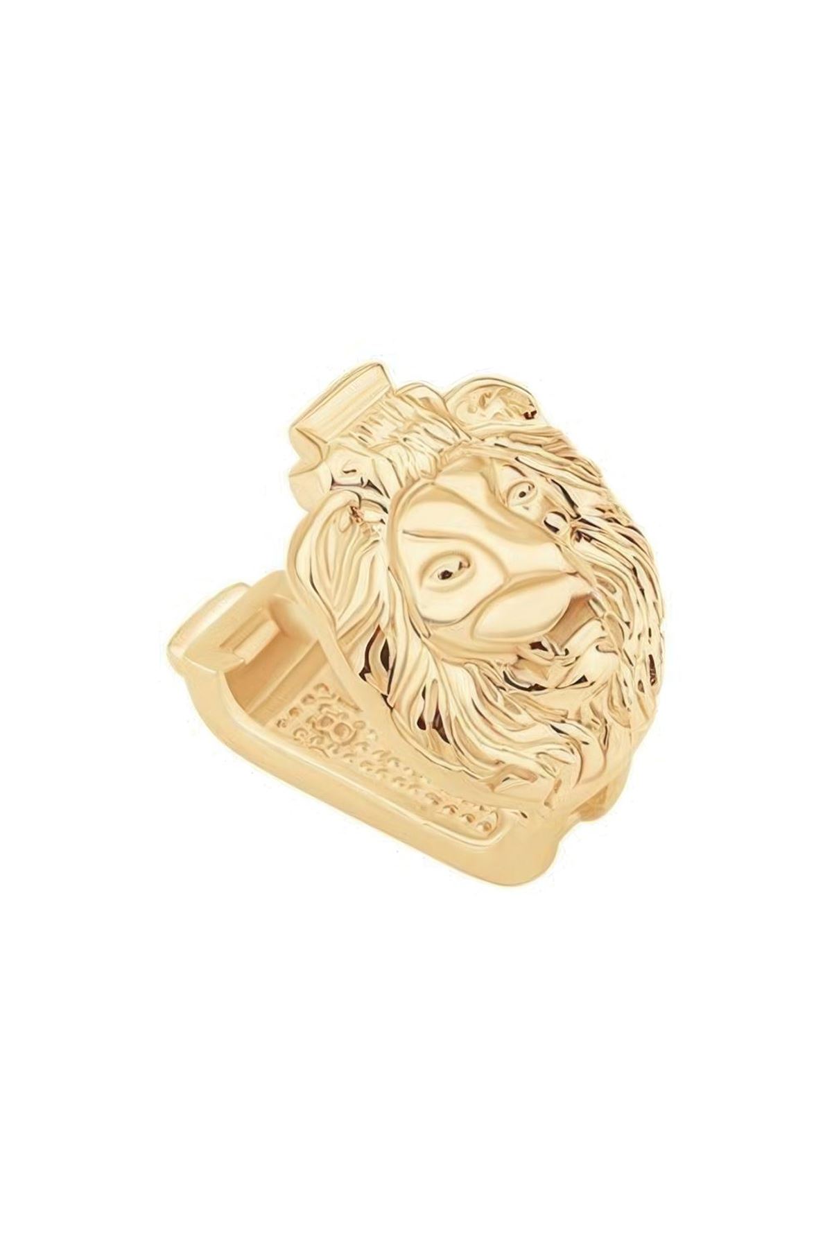Aslan 9Mm Bileklik Charm