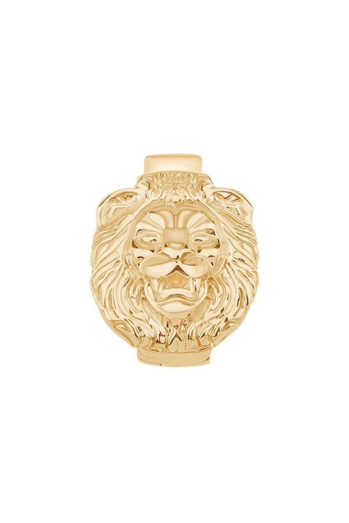 Aslan 9Mm Bileklik Charm